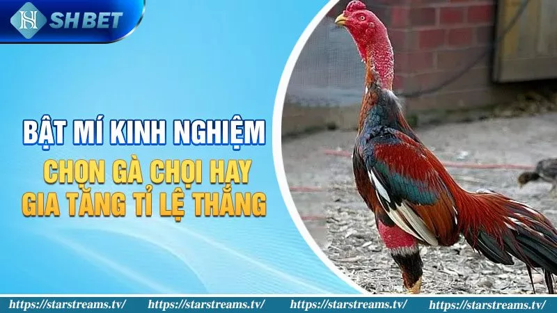 Nền tảng trực tuyến Okvip - Chơi an toàn và thắng lớn tại Việt Nam! - Okvip