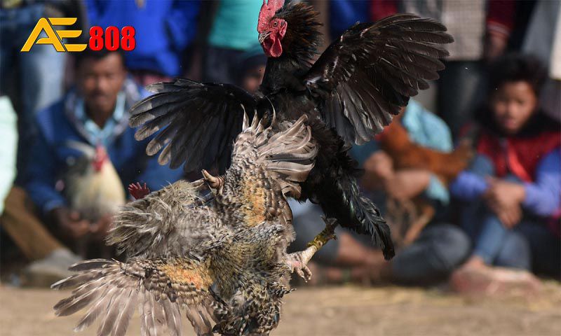 Abcvip có thực sự an toàn không? - Abcvip