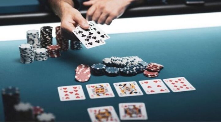 Cá cược các trận đá gà cấp Daga88 rất đơn giản và tiện lợi - Daga88
