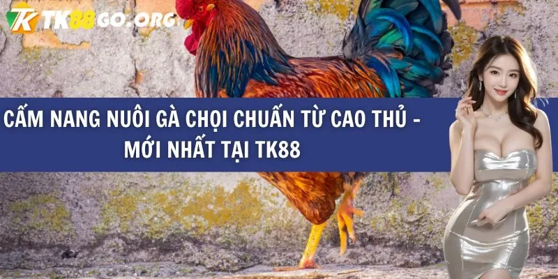 Ưu điểm của đá gà trực tuyến cấp 58Win - 58Win