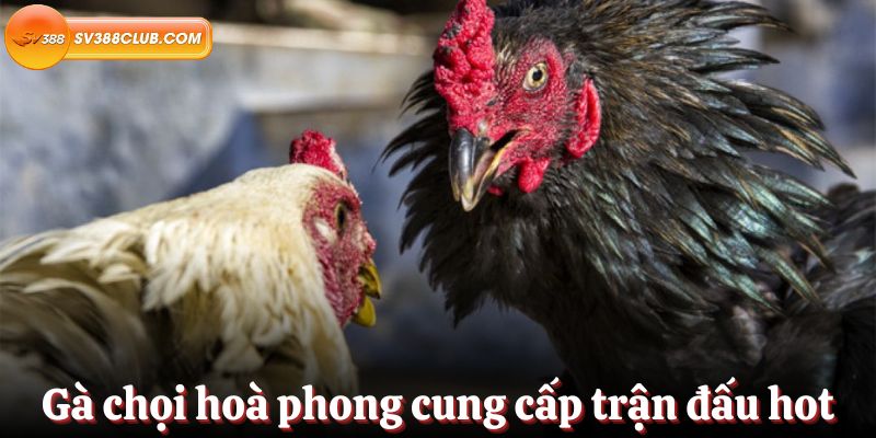 Điều kiện để gửi tiền thành công vào tài khoản Bet999 - Bet999