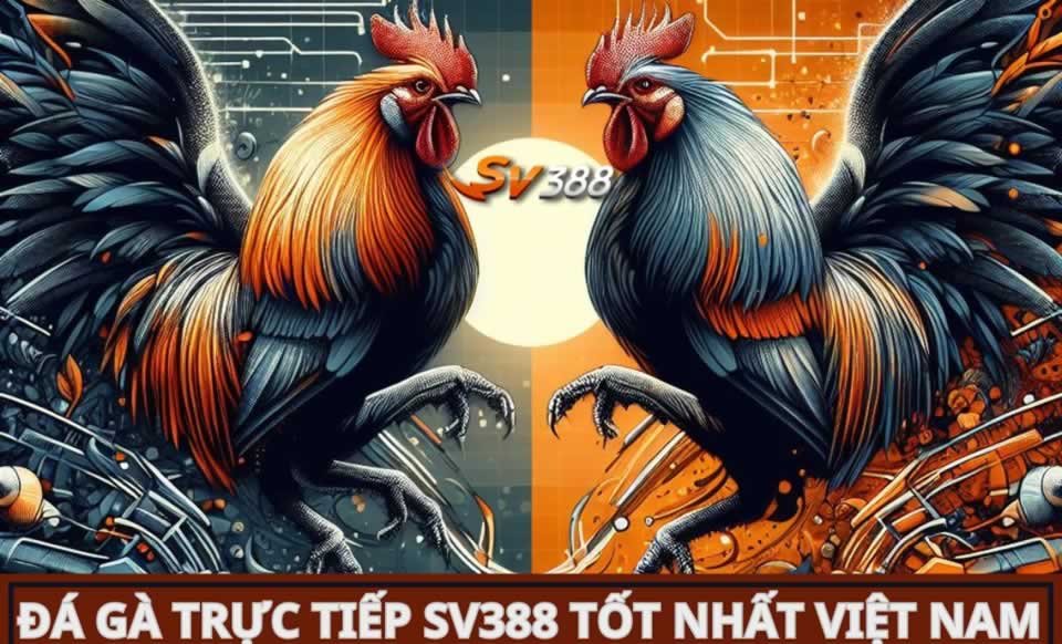 Mibet cung cấp hệ thống trò chơi dựa trên phần thưởng tốt nhất - Mibet