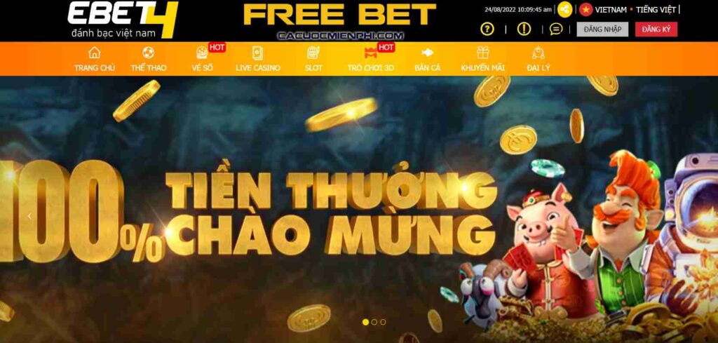 Hãy liên hệ với Raybet để được phục vụ chuyên nghiệp và chu đáo - Raybet