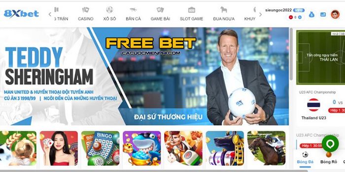 Chương trình khuyến mãi Betvn giảm giá 100000 Điều khoản và điều kiện của chương trình khuyến mãi là gì? - Betvn