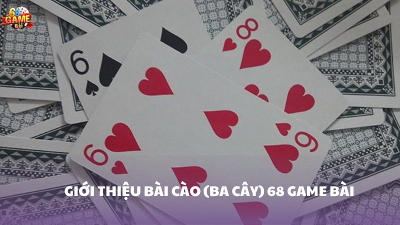 Hệ thống An ninh và Xử lý Sự cố 7Ball - 7Ball