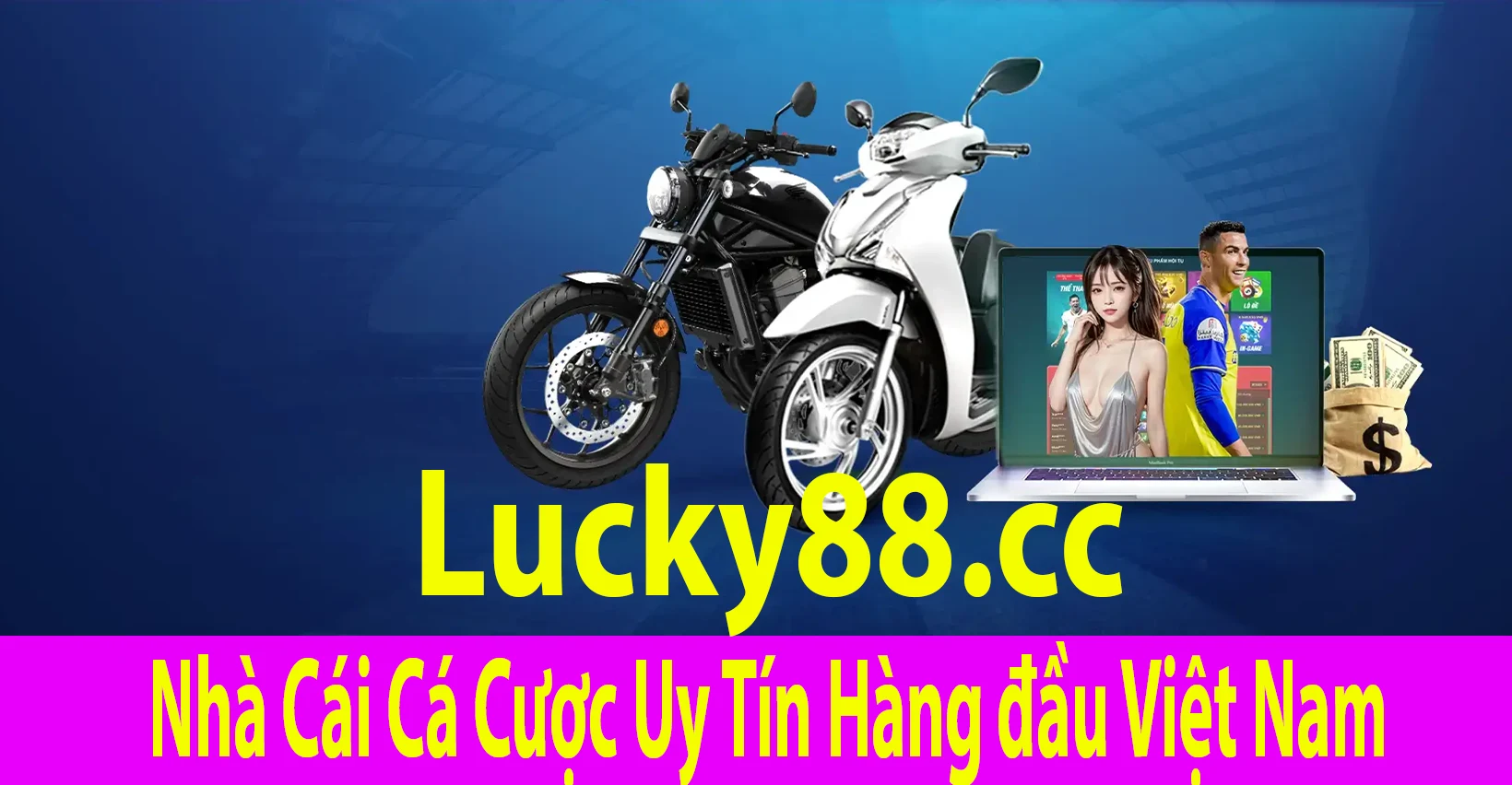 Thống kê Nbet trên trang web game Nbet - Nbet
