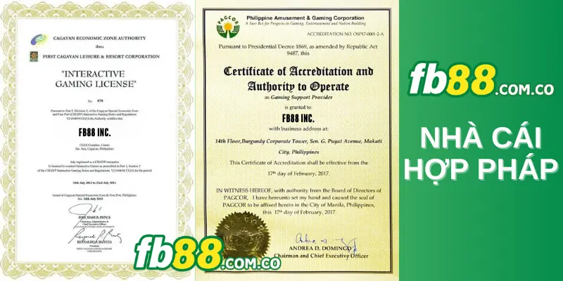 18Win cung cấp dịch vụ cá cược thể thao cho các sự kiện và giải đấu - 18Win