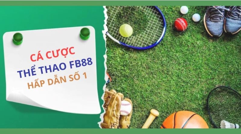 Các trò chơi máy đánh bạc thông thường, giải thưởng và quà tặng, tất cả đều được xếp hạng Bancah5, đang chờ đón bạn! - Bancah5
