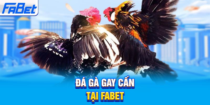 Hãy tận hưởng các ưu đãi đặc biệt hàng ngày tại P3bet me - P3bet