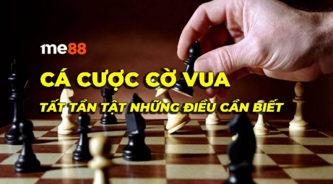 Ứng dụng 7Ball: Hướng dẫn nâng cao về tìm kiếm cạnh tranh - 7Ball