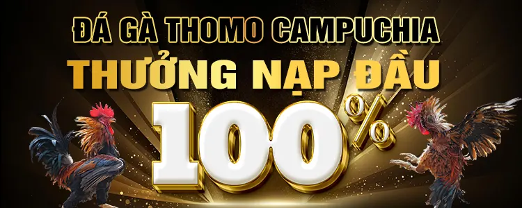 Công viên giải trí hạng Oppabet cung cấp những tiện ích gì? - Oppabet