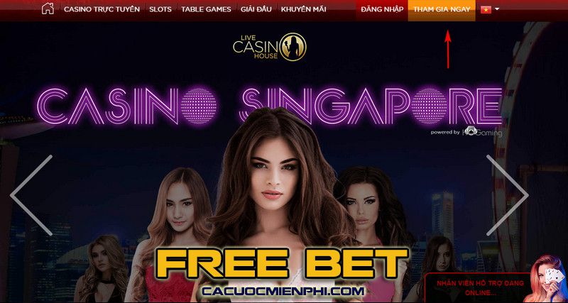 Tuyển tập các khu cắm trại hạng Ggwin nổi tiếng - Ggwin
