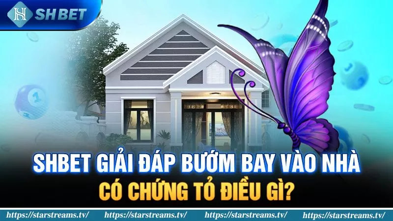 Mạng Internet địa phương Letou - Letou