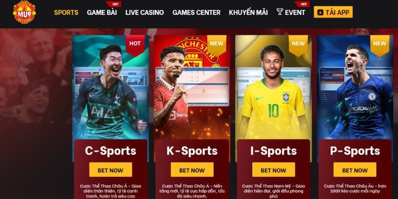 Bộ phận Chăm sóc Khách hàng của Trang web Betvip - Betvip