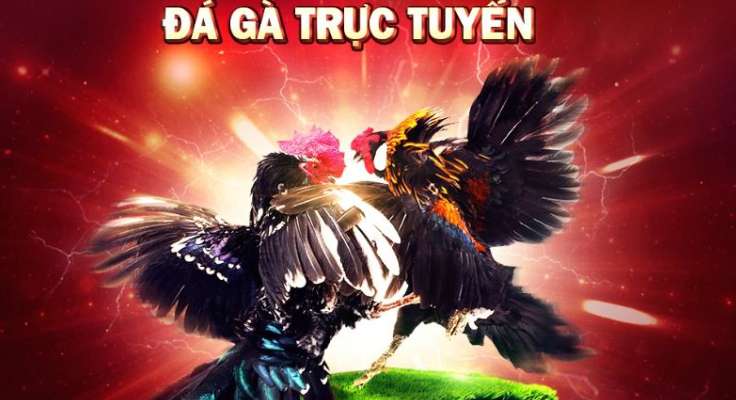 Ưu điểm của 79Win APK - 79Win