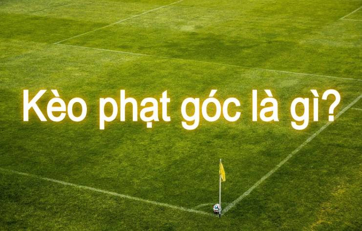 Dịch vụ khách hàng 88Vv - 88Vv